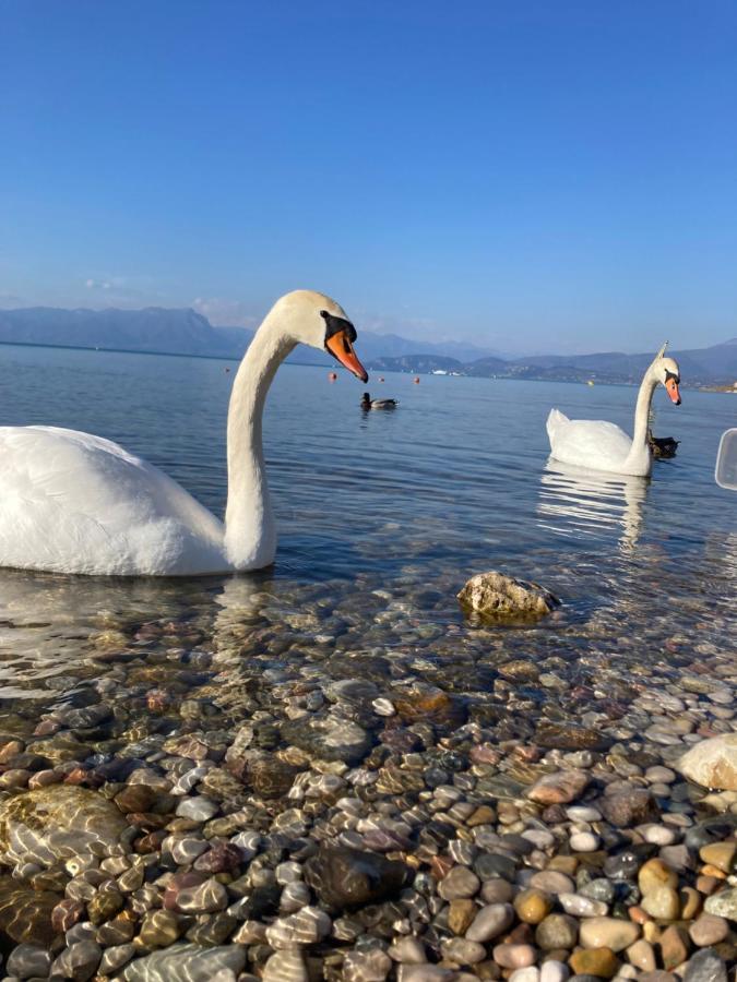 Garda Art&lake Peschiera del Garda